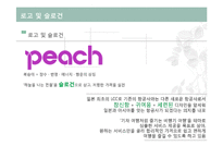 피치항공 경영전략분석과 피치항공 마케팅전략분석및 피치항공 SWOT분석과 향후시사점-5