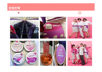 피치항공 경영전략분석과 피치항공 마케팅전략분석및 피치항공 SWOT분석과 향후시사점-14