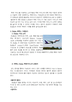 우체국택배 vs Fedex 페덱스 기업전략비교분석과 서비스마케팅 전략비교분석및 향후시사점-7