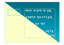 막걸리의 세계화방안(독일맥주의 세계화성공사례 벤치마킹)-3