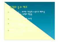 막걸리의 세계화방안(독일맥주의 세계화성공사례 벤치마킹)-6