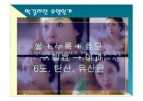 막걸리의 세계화방안(독일맥주의 세계화성공사례 벤치마킹)-12
