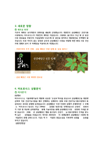 벤처기업 비트로시스 경영사례분석및 마케팅전략분석-4