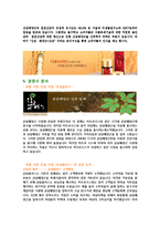 벤처기업 비트로시스 경영사례분석및 마케팅전략분석-10