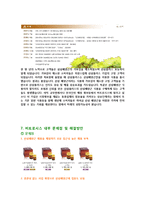 벤처기업 비트로시스 경영사례분석및 마케팅전략분석-11