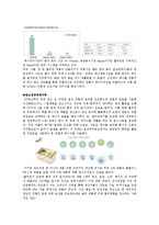 풀무원 품질경영 및 환경친화적 경영사례분석-10