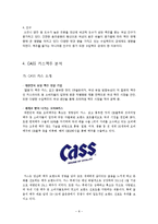 CASS 카스 신제품 마케팅전략 기획(2030 여성타켓맥주)과 카스 신제품개발전략,마케팅전략제안 및 마케팅결과예상 레포트-8