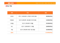 제주항공의 IMC 전략-20