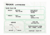 광고에 따른 소비자 태도 형성-10
