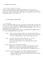 소셜커머스와 소비자 보호-2