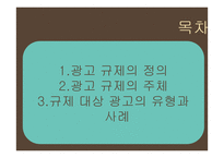 광고규제의 원칙과 현황-2