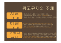 광고규제의 원칙과 현황-4