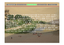 감성 리더십 사례-5