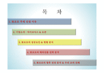 뽀로로의 프랑스 진출 전략-2