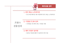 뽀로로의 프랑스 진출 전략-18