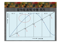 에스닉푸드 레스토랑-인도요리 전문점 `강가` 판매촉진 전략-9