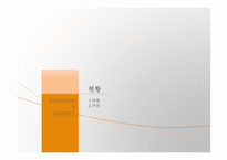 우리나라 컨벤션 산업의 발전방안-11