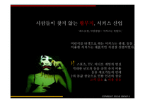 서커스산업에서의 마케팅 전략-5