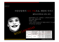 서커스산업에서의 마케팅 전략-14