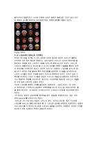 서커스산업에서의 마케팅 전략-20