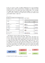 스킨푸드 마케팅 전략-9
