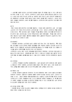 스킨푸드 마케팅 전략-14
