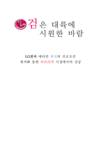 LG전자 `휘센` 아프리카 진출전략-1