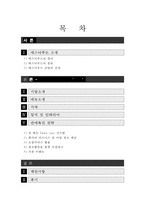 에스닉푸드 레스토랑-인도요리 전문점 `강가` 판매촉진 전략-2