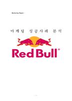 레드불 마케팅 성공사례 분석-1