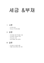 국가부채와 세금, 재정 정책 연구-1