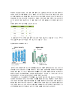 국가부채와 세금, 재정 정책 연구-7
