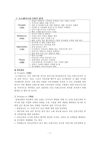 노스페이스 브랜드 분석 및 평가-13