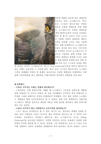 노스페이스 브랜드 분석 및 평가-17