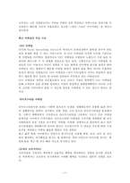 노스페이스 브랜드 분석 및 평가-18