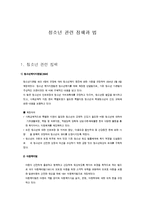 청소년 관련 정책과 법-1