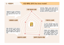 비락식혜 마케팅사례분석과 광고전략분석및 비락식혜 SWOT분석과 제품전략및 비락식혜 전략적 광고기획-6