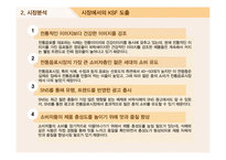 비락식혜 마케팅사례분석과 광고전략분석및 비락식혜 SWOT분석과 제품전략및 비락식혜 전략적 광고기획-13
