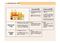 비락식혜 마케팅사례분석과 광고전략분석및 비락식혜 SWOT분석과 제품전략및 비락식혜 전략적 광고기획-14