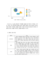 TOMS SHOES 탐스슈즈 마케팅 SWOT,STP,4P전략분석과 탐스슈즈 브랜드분석및 새로운 마케팅 4P전략제안-11