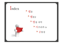 새 미디어 기술-웹툰, 자막, 아프리카 tv 연구-2