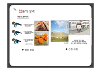 새 미디어 기술-웹툰, 자막, 아프리카 tv 연구-10
