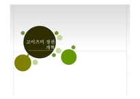 고이즈미 정권에 대한 평가-7