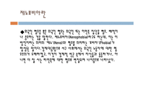 외국인 범죄 현황과 문제점 및 해결방안-17
