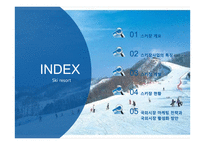 스키장의 개발 현황과 운영의 문제점 및 해결방안-2