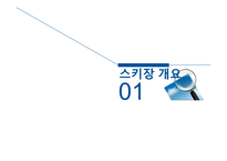 스키장의 개발 현황과 운영의 문제점 및 해결방안-3