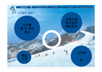 스키장의 개발 현황과 운영의 문제점 및 해결방안-5