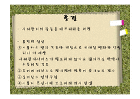 사회복지 사례 관리-실행과정, 평가종결-14