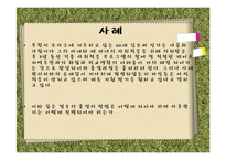 사회복지 사례 관리-실행과정, 평가종결-19