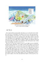 국내외 리조트 개발 현황과 특징-16