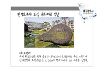대학도시로서 대구시의 역할과 기능-13